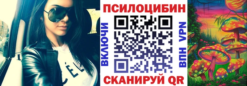 Псилоцибиновые грибы Psilocybe  Светлогорск 